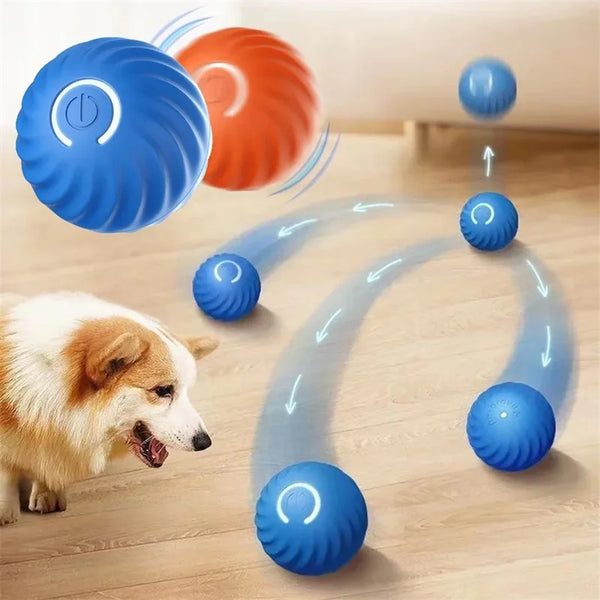 Pelota Inteligente Mascota Activa